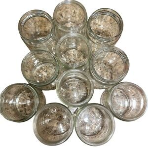 11 Glass Jars (No LIDS) (Used - Good Condition) 🫙
